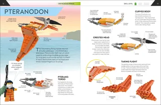 How to Build LEGO® Dinosaurs van LEGO – productfoto 4 van 5