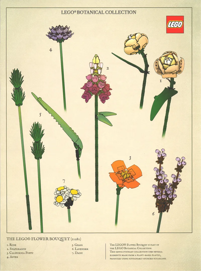 Botanical Collection Art Print – Bouquet