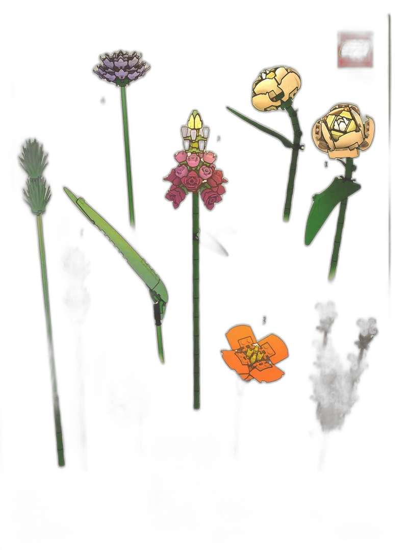 Botanical Collection Art Print – Bouquet