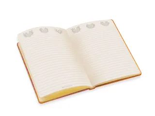LEGO® NINJAGO® Notebook van LEGO – productfoto 4 van 6