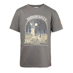 LEGO Harry Potter™ T-Shirt Gray (5008033)