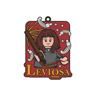 Leviosa Magnet - Afbeelding 1 van 6