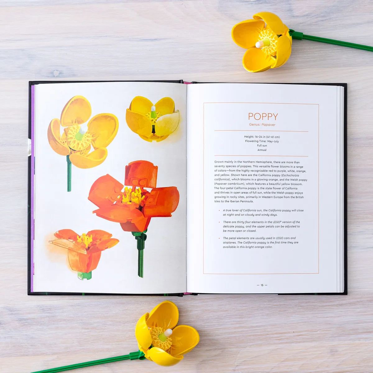 LEGO Botanical Almanac Book (5008877) - Bild 3