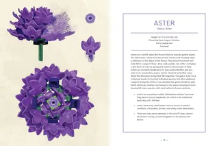 Botanical Almanac Book by LEGO – product photo 5 of 16