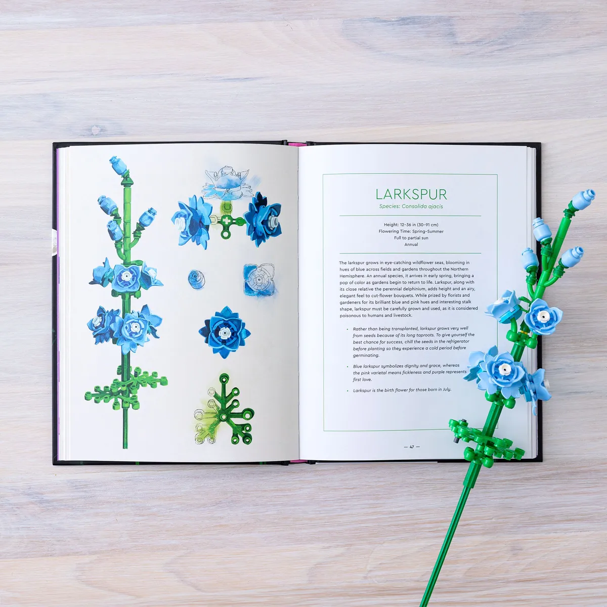 LEGO Botanical Almanac Book (5008877) - Bild 7
