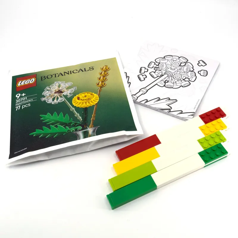 Creativity Set – Botanicals