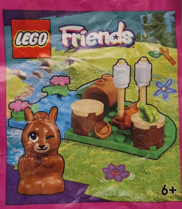 Squirrel and camp fire