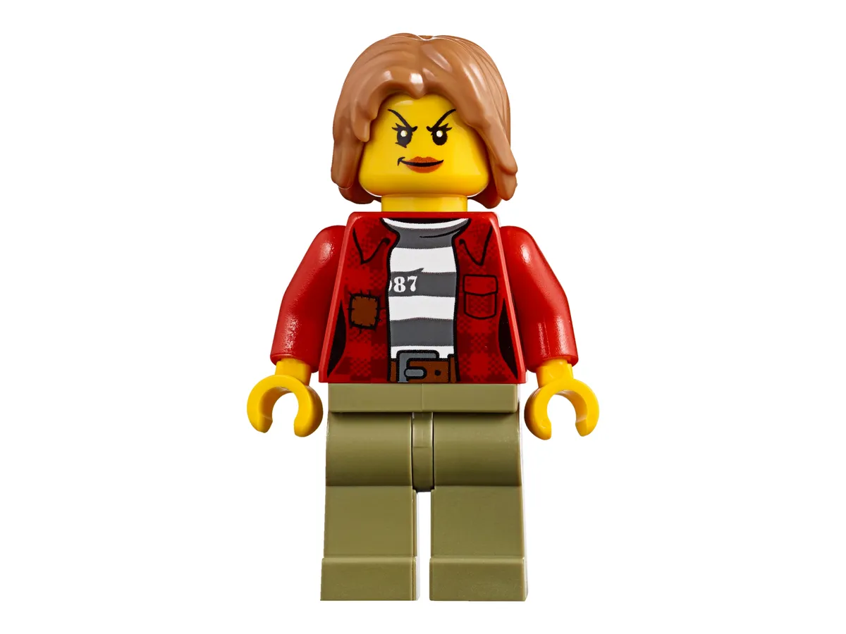 LEGO Mountain Arrest (60173) - image 13