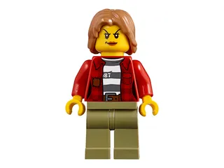 Mountain Arrest von LEGO – Produktfoto 14 von 17