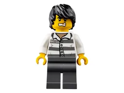 LEGO Mountain River Heist (60175) - image 9