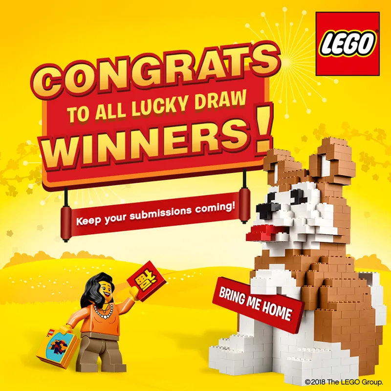 Easy Build Building Happening Dog van LEGO – productfoto