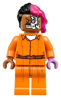 LEGO Arkham Asylum (70912) - image 18