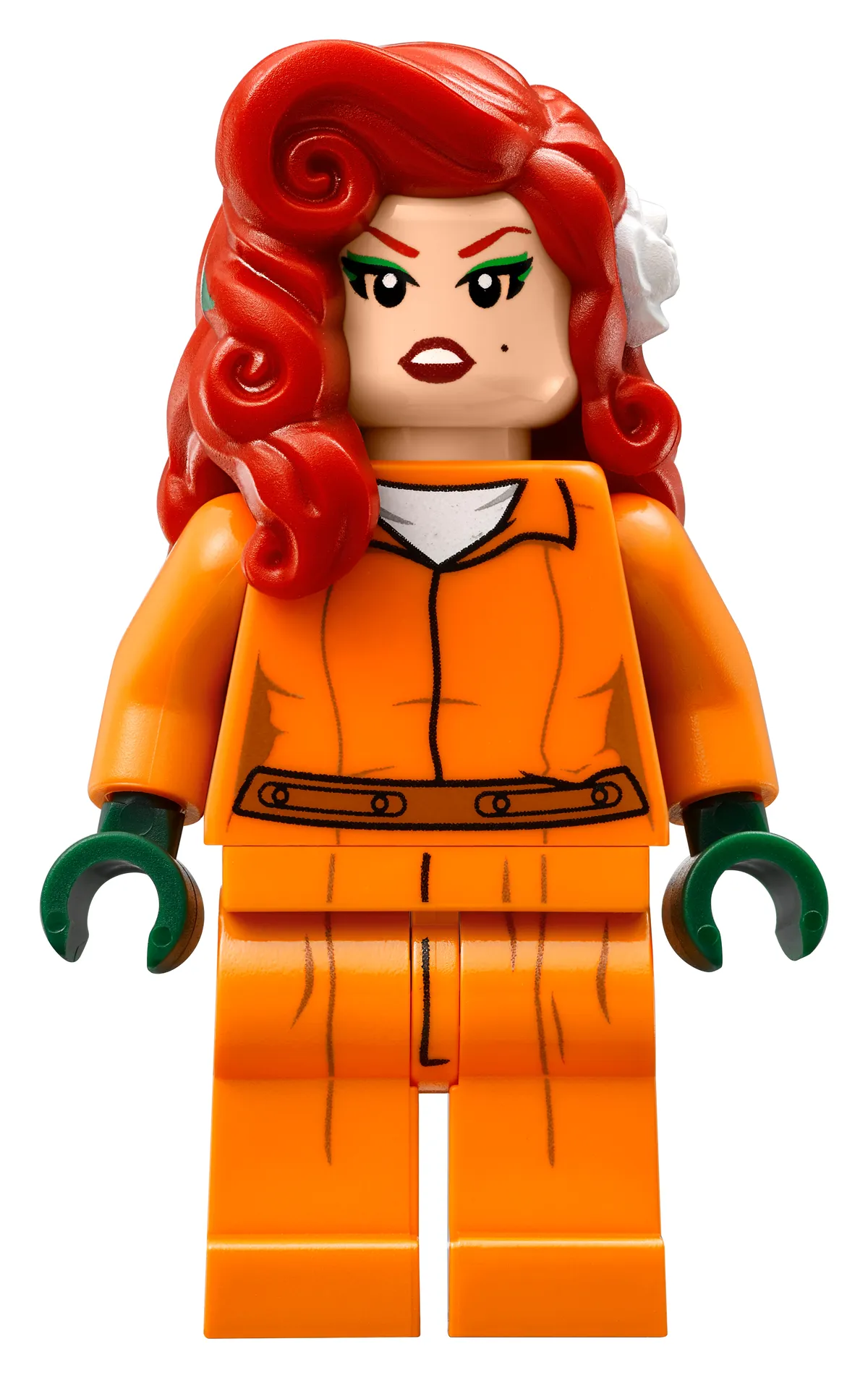 LEGO Arkham Asylum (70912) - image 19