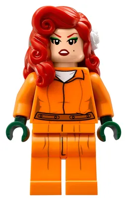 LEGO Arkham Asylum (70912) - image 19