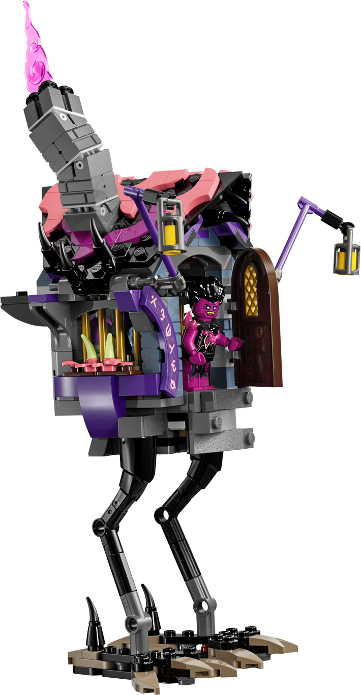 The Never Witch's Midnight Raven