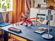 Brondraak van Beweging - Afbeelding 8 van 10