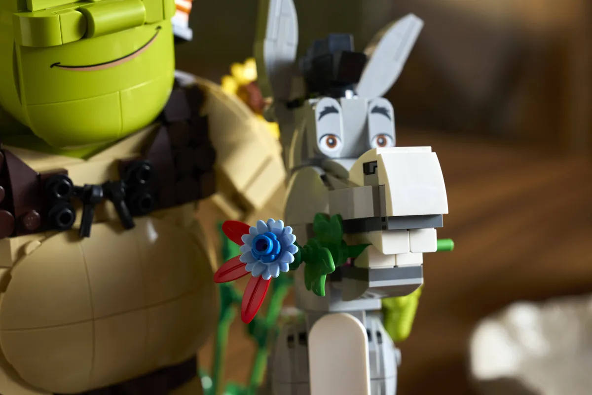 LEGO Shrek, Donkey & Puss in Boots (72423) - Bild 9
