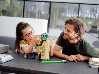 Yoda™ de LEGO – photo du produit 6 sur 12