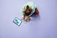 Elphaba's schuilhut - Afbeelding 10 van 11