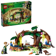 Elphaba's schuilhut - Afbeelding 2 van 11