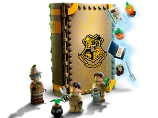 Hogwarts™ Moment: Herbology Class by LEGO – product photo 4 of 14