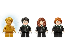 LEGO Hogwarts™: Polyjuice Potion Mistake (76386) - image 9