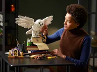 Zweinstein™ Iconen - verzamelobjecten - Afbeelding 10 van 17