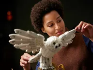 Zweinstein™ Iconen - verzamelobjecten - Afbeelding 12 van 17