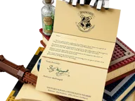 Zweinstein™ Iconen - verzamelobjecten - Afbeelding 8 van 17