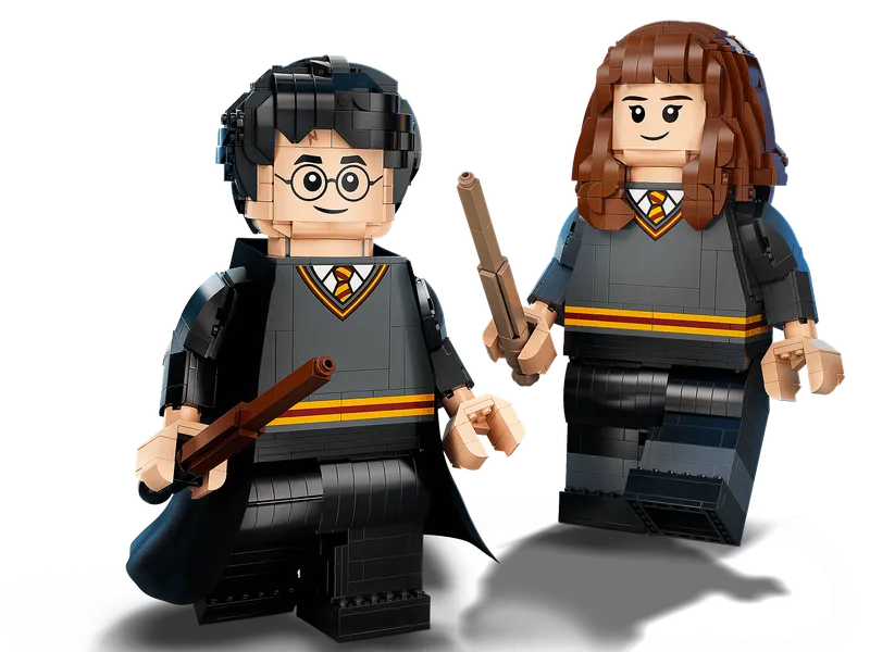 Harry Potter & Hermione Granger™ van LEGO – productfoto 3 van 14