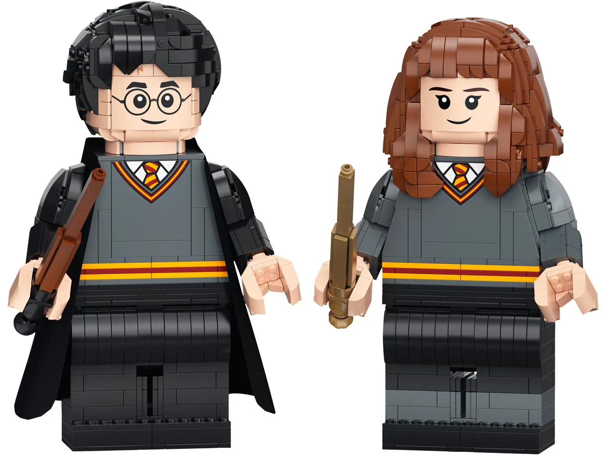 LEGO Harry Potter & Hermione Granger™ (76393)