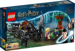 LEGO Hogwarts™ Carriage and Thestrals (76400) - afbeelding 1