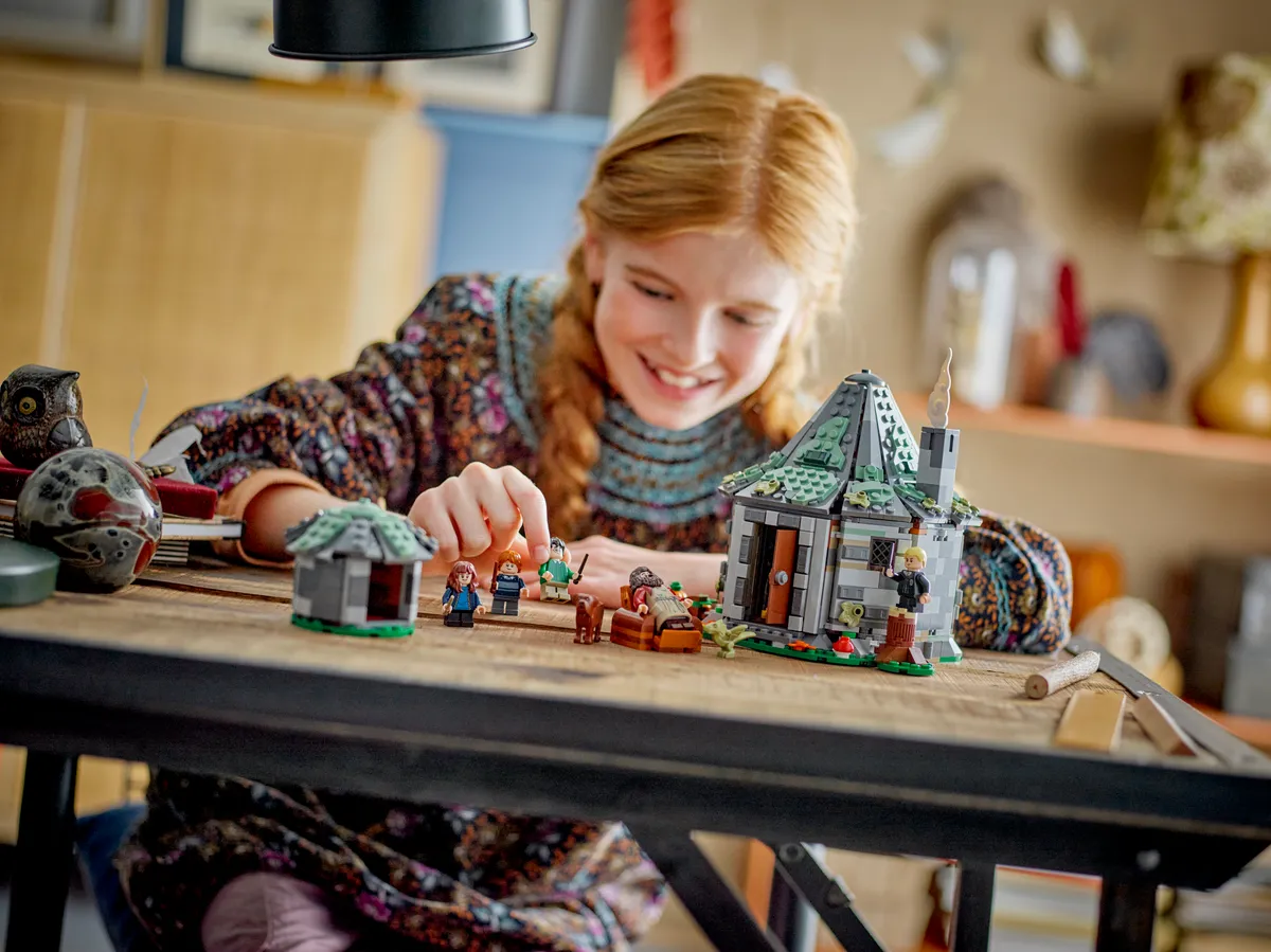 LEGO Hagrid's Hut: An Unexpected Visit (76428) - Bild 8