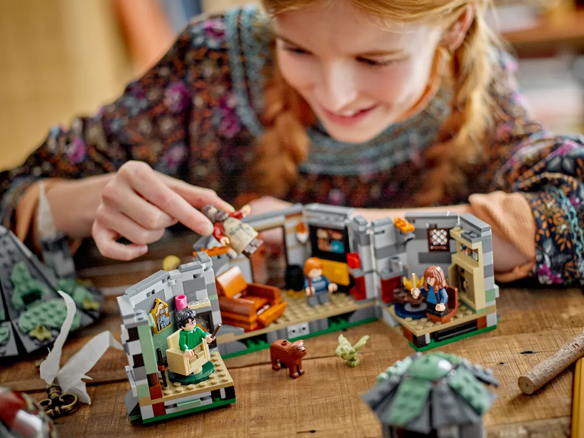 LEGO Hagrid's Hut: An Unexpected Visit (76428) - Bild 9