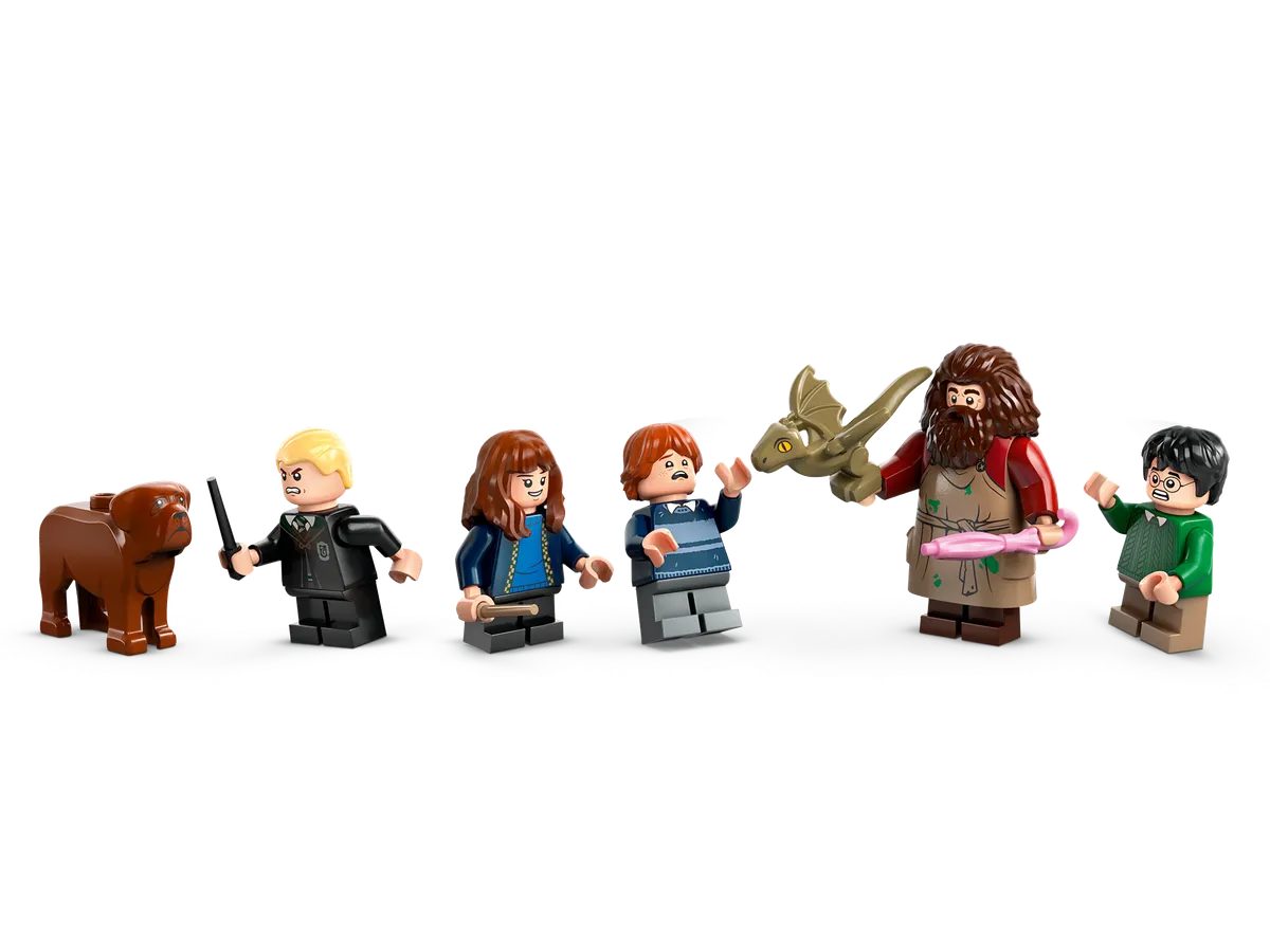 LEGO Hagrid's Hut: An Unexpected Visit (76428) - Bild 6