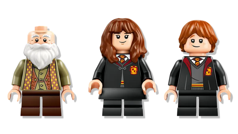LEGO 76442 Charms Class (Harry Potter) detail image