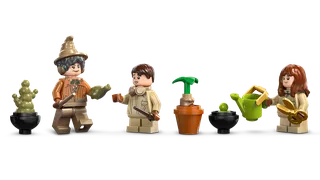 Hogwarts™ Castle: Herbology Class de LEGO – photo du produit 6 sur 10