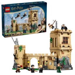 LEGO Hogwarts™ Castle: Flying Lessons (76447) - afbeelding 1