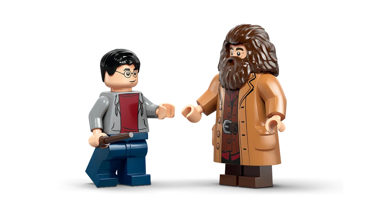 LEGO Hagrid™ & Harry's Privet Drive Escape (76459) - Bild 3