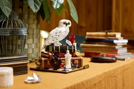 Philosopher's Stone – Collectors' Edition - Image 9 of 15