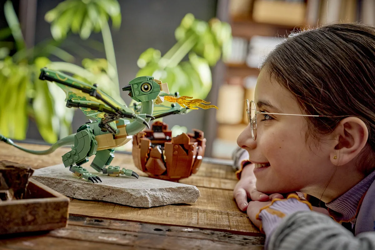 LEGO Norbert: Hagrid's Baby Dragon (76477) - Bild 7