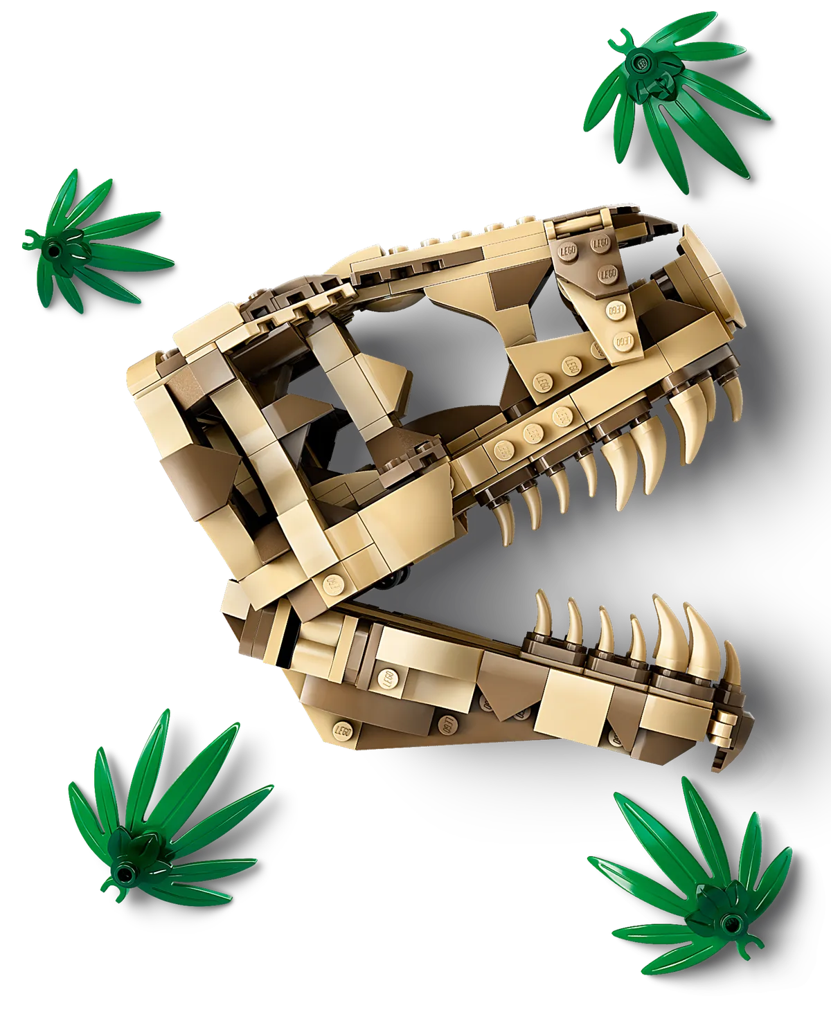 LEGO Dinosaur Fossils: T. rex Skull (76964) - image 2