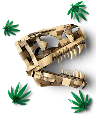 Dinosaur Fossils: T. rex Skull by LEGO – product photo 3 of 8