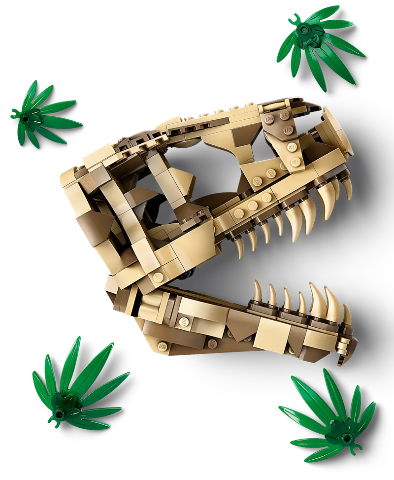 Dinosaur Fossils: T. rex Skull by LEGO – product photo 3 of 8