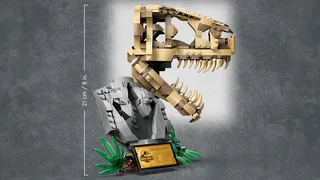 Dinosaur Fossils: T. rex Skull by LEGO – product photo 5 of 8