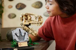 LEGO Dinosaur Fossils: T. rex Skull (76964) - image 6