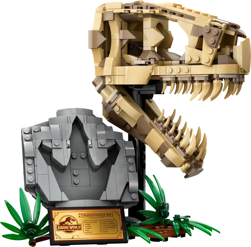 Dinosaur Fossils: T. rex Skull