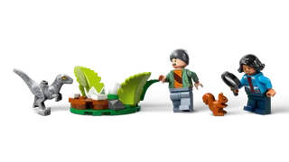 Dinosaurusmissies: Stegosaurus ontdekking van LEGO – productfoto 5 van 11