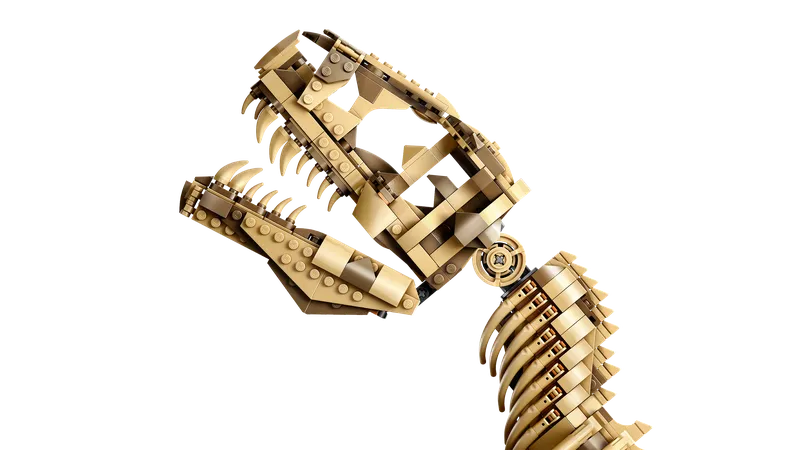 Dinosaur Fossils: Tyrannosaurus rex by LEGO – product photo 4 of 13