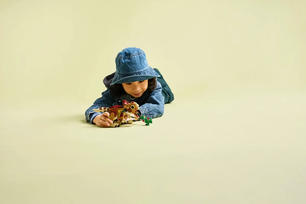 LEGO Baby Dinosaur Dolores: Aquilops (76970) - afbeelding 6